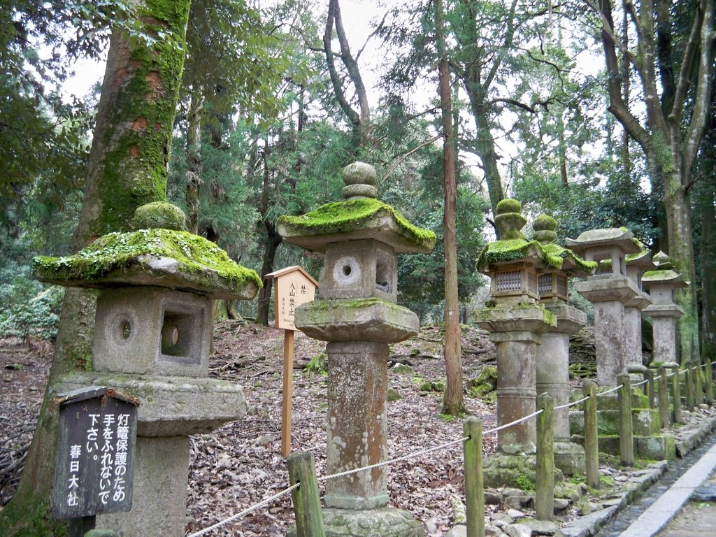 Nara park by broste66