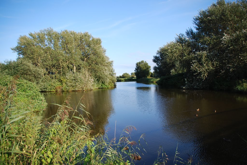 Salzwiesen Schönberg Holm by www.ostseeblick-holm.de