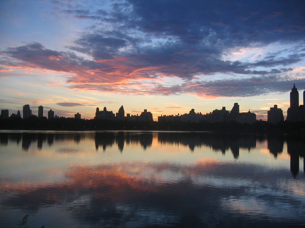 Central Park by Mate J Horvath