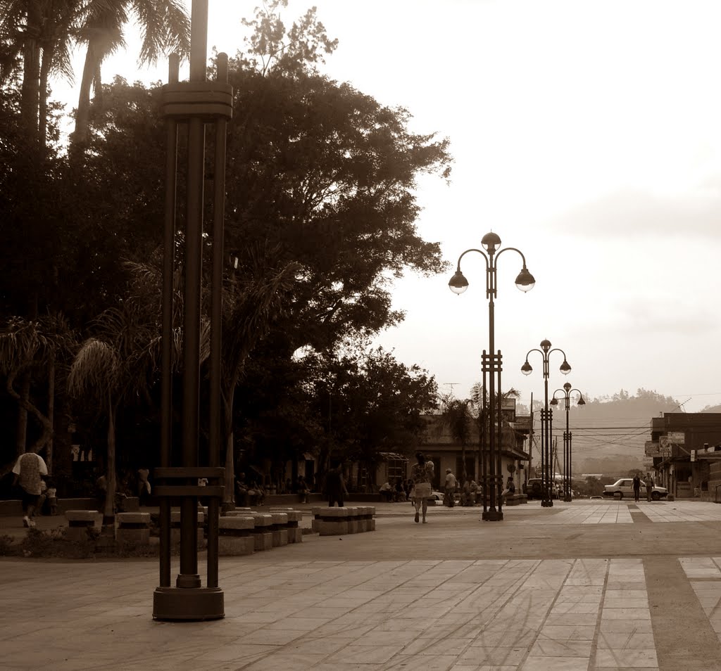 Boulevard Parque Palmares by Juan Bustos