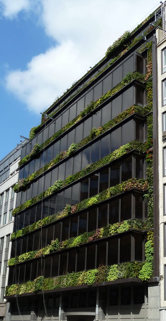 Vertical garden (mur végétal) by Patrick Blanc at 14 rue Belliard, Brussels by Noisette