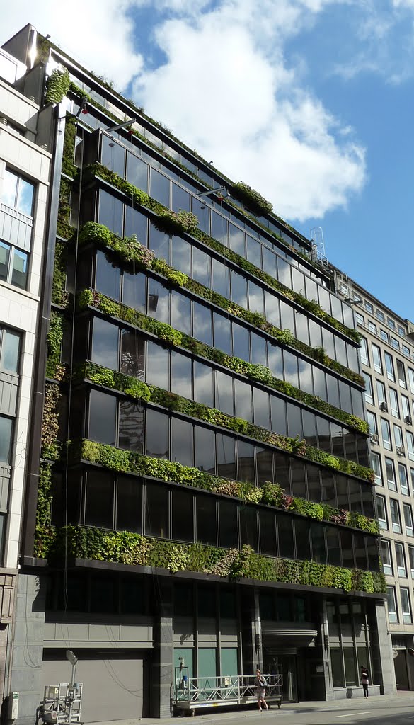 Vertical garden (mur végétal) by Patrick Blanc at 14 rue Belliard, Brussels by Noisette