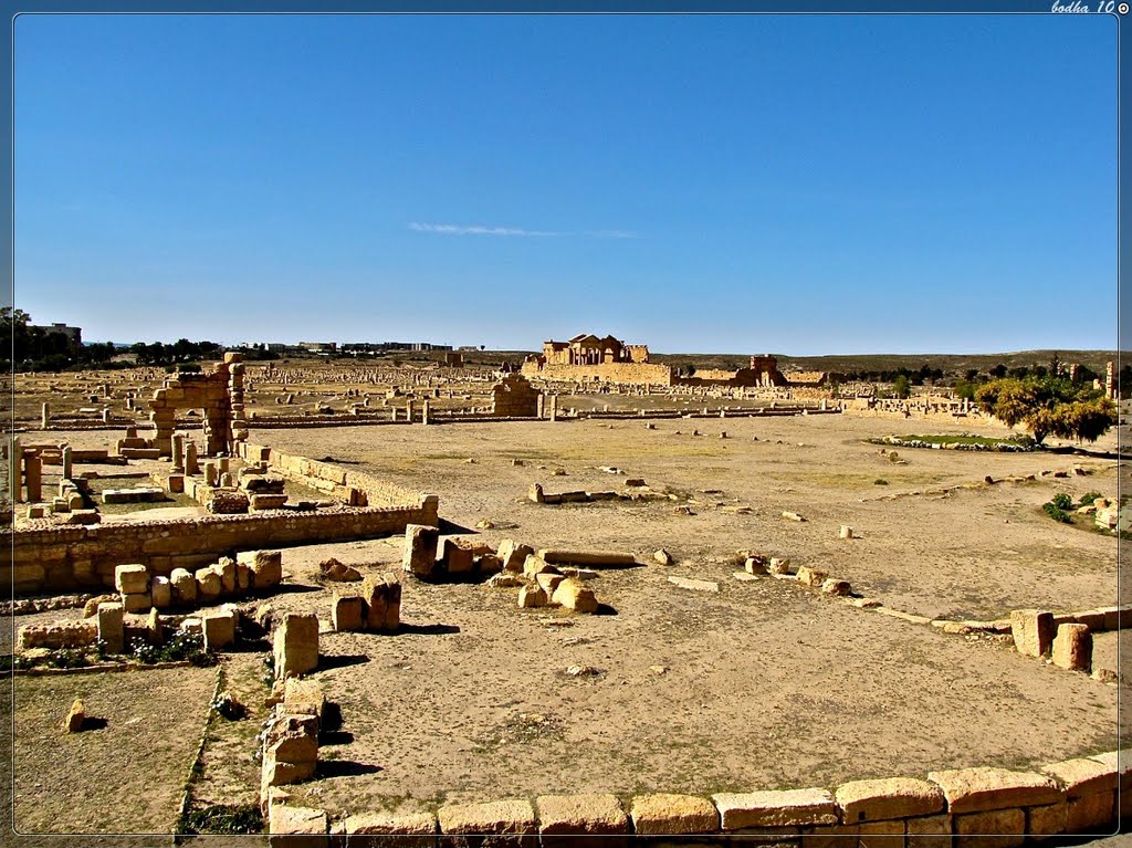 Tunisie- sbeitla-Ruines Romaines by bodha jac