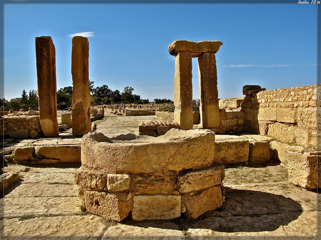 Tunisie- sbeitla-Ruines Romaines by bodha jac