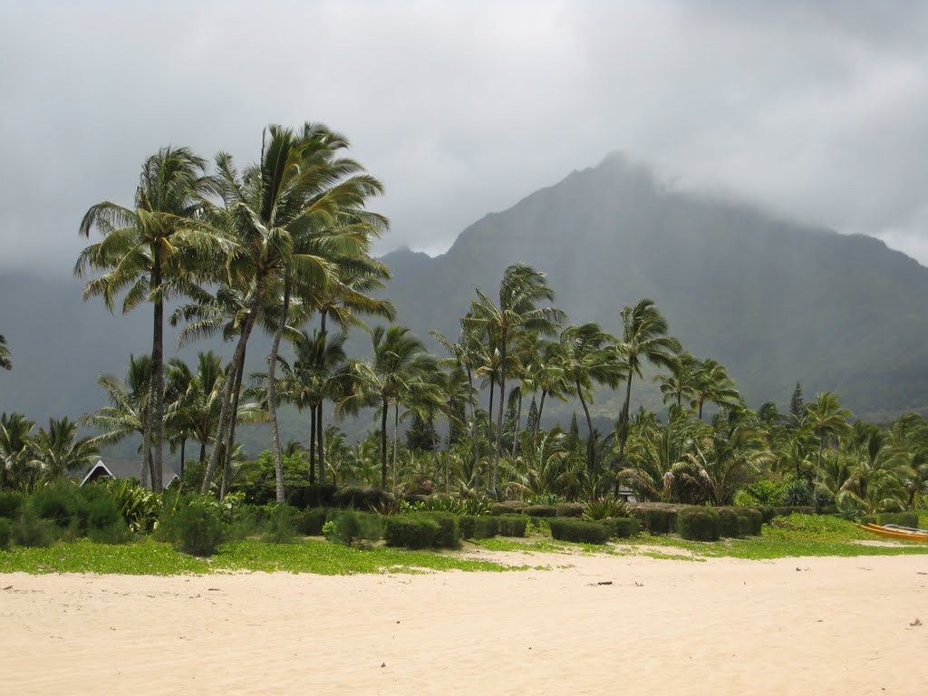 Hanalei Bay by Andreavanr