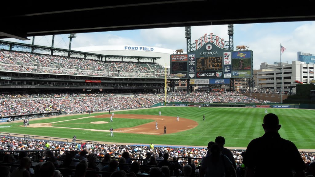 Comerica Tig's v Sox by starscream1211