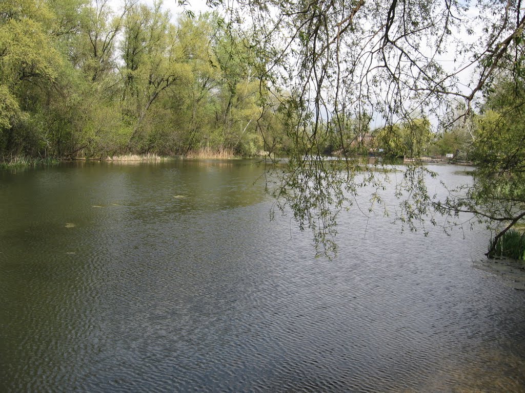 Lenins'kyi district, Poltava, Poltavs'ka oblast, Ukraine by LiMoN