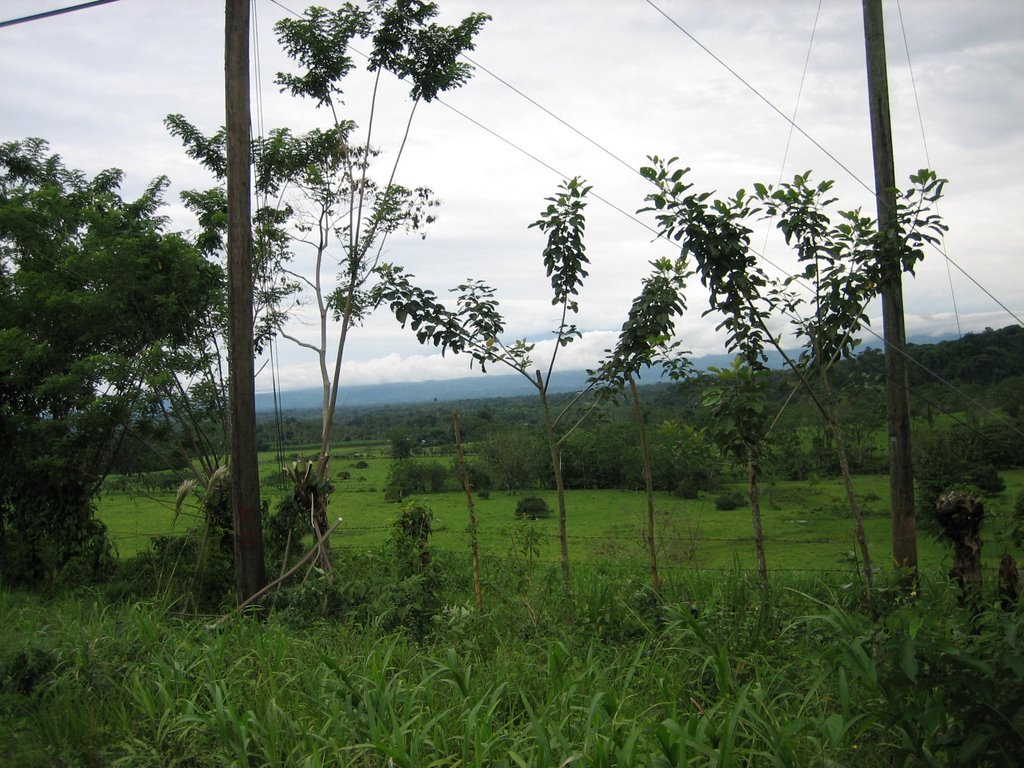 Camino de Arenal by Trichita