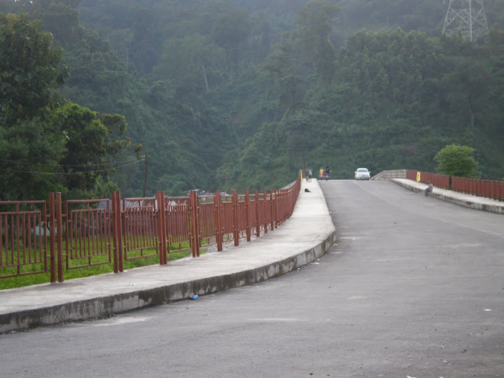 Way to panighatta,Dudhia,darjeeling by rajesh sharma