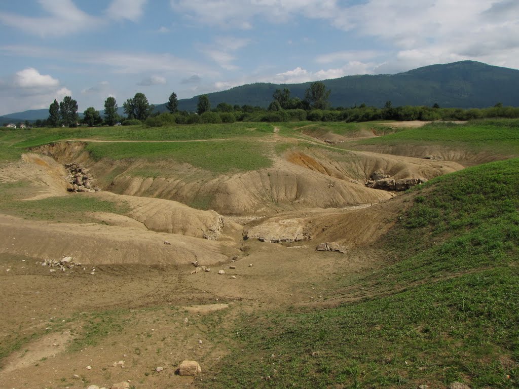 Swallow holes in the Cerknica polje by peter_fg