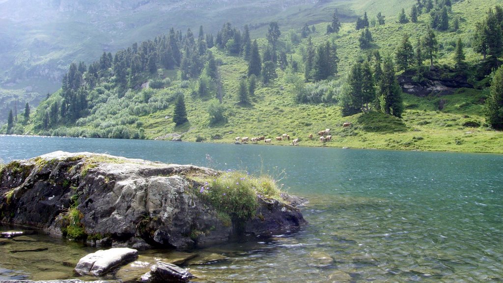 Engstlensee bei Meiringen by Reisebild