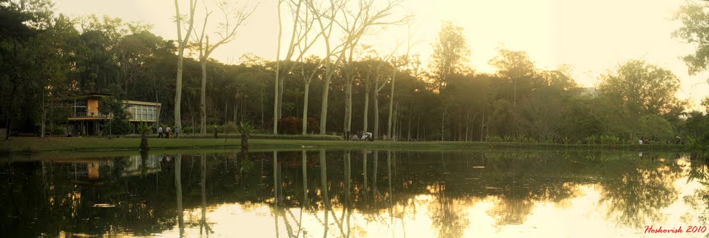 Vista panoramica do lago by Hoskovisk