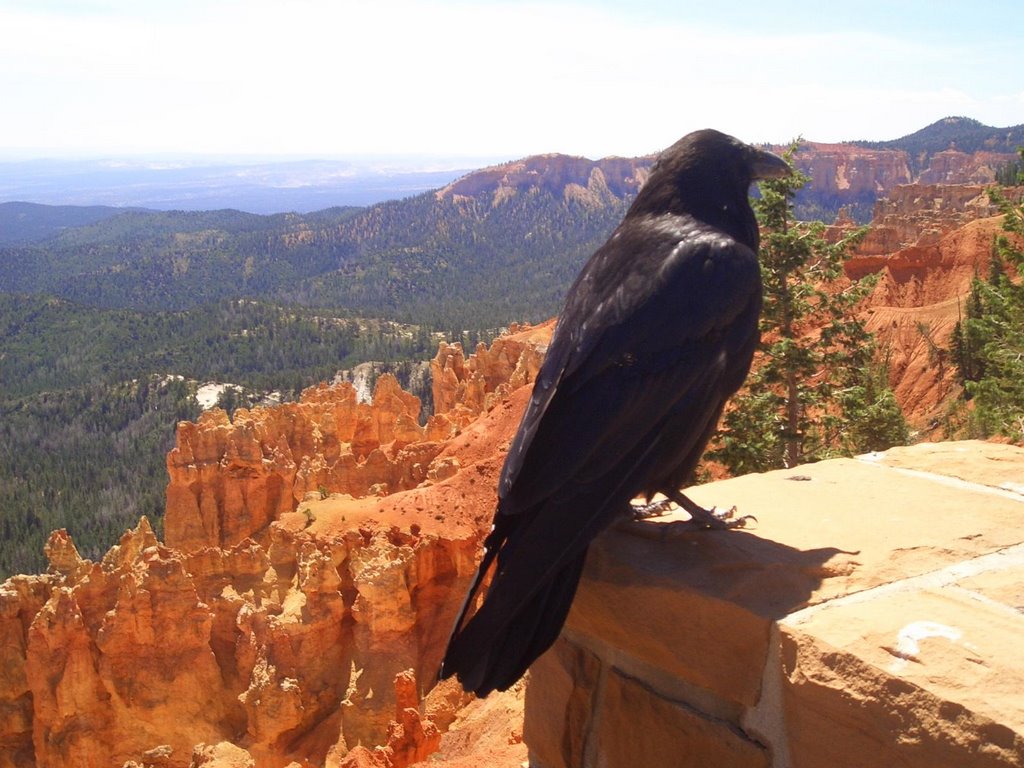 Bryce Canyon Ponderosa Point by ts_warstein