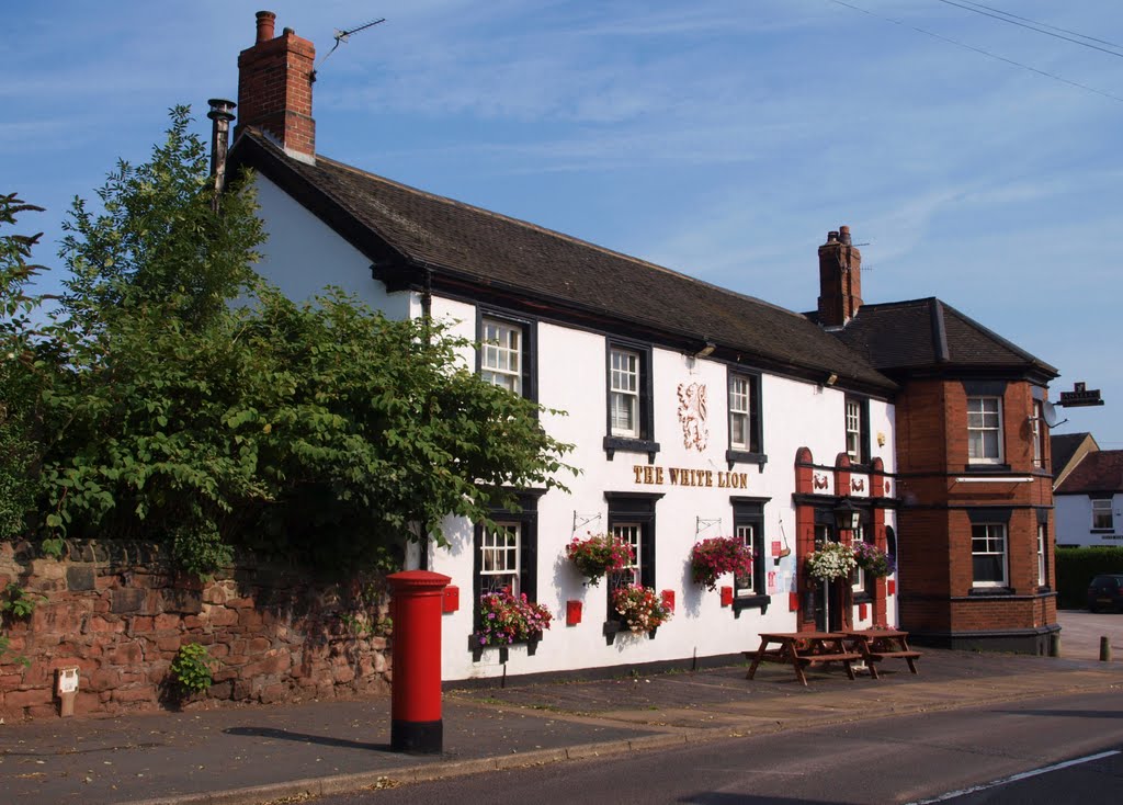 The White Lion Public House by DOUGGSM