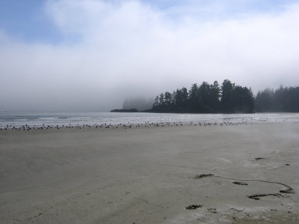 Tofino Long Beach pic6 by Alex Lashkov