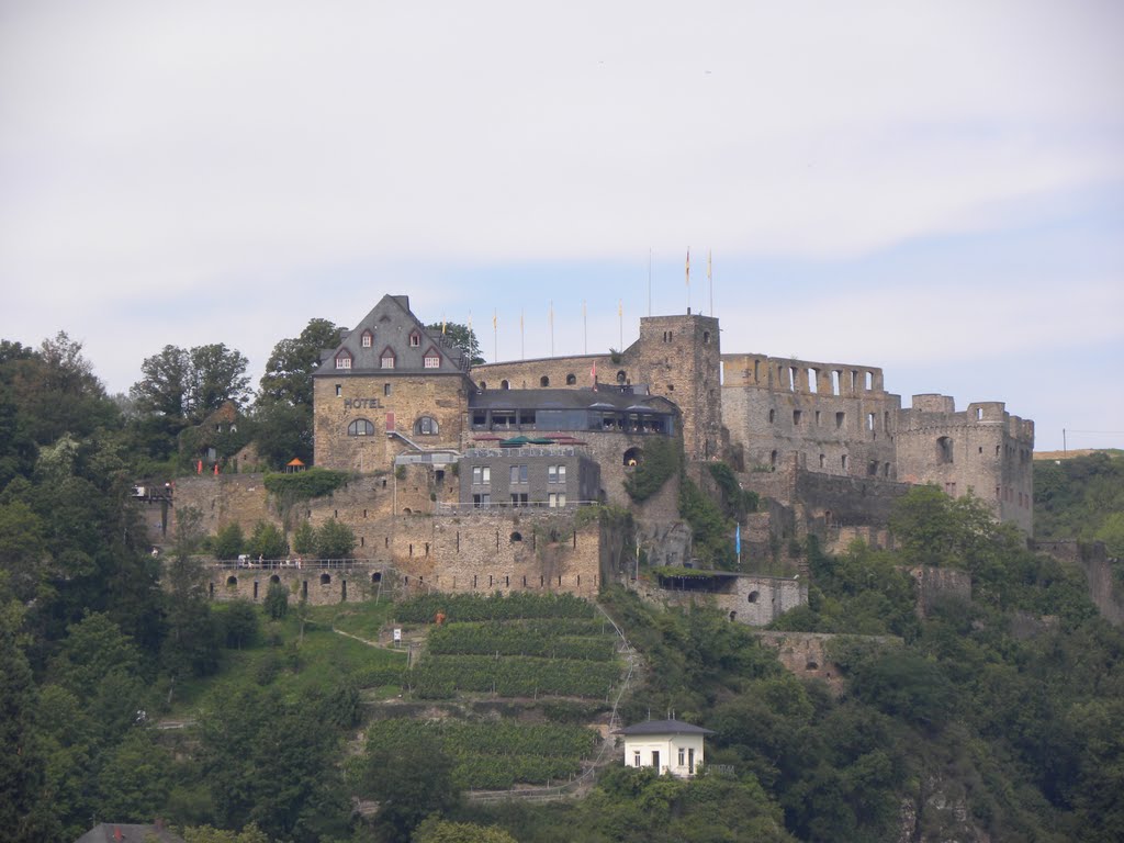 Burg Rheinfels by Anakinkris