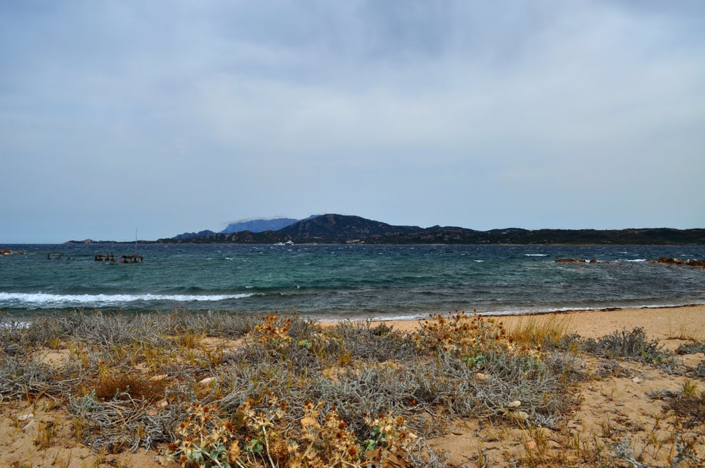 Punta Saline, agosto 2010 by Paolo Motta