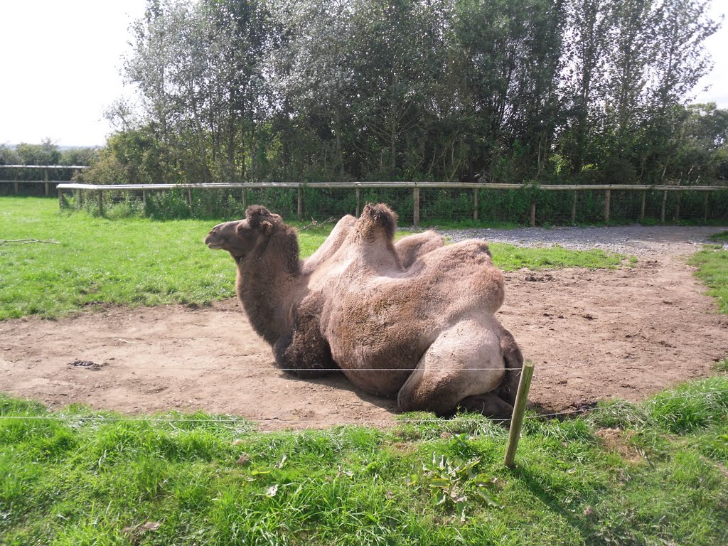 FOLLY FARM,NARBERTH,WEST WALES by SHANE HUNT