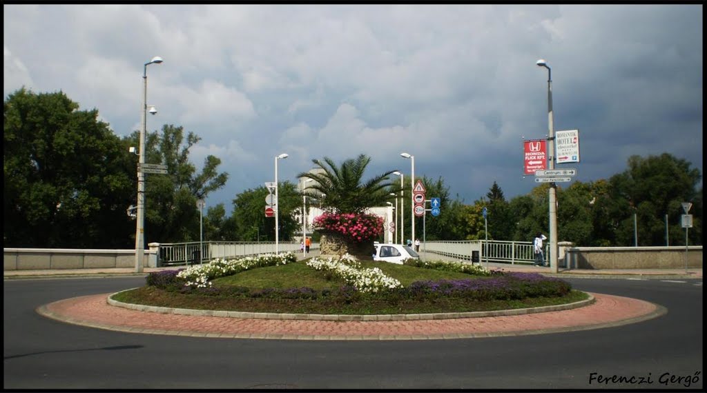 2010.09.02. A győri Petőfi híd belvárosi hídfőjénél található kivirágosított körforgalom. by Ferenczi Gergő