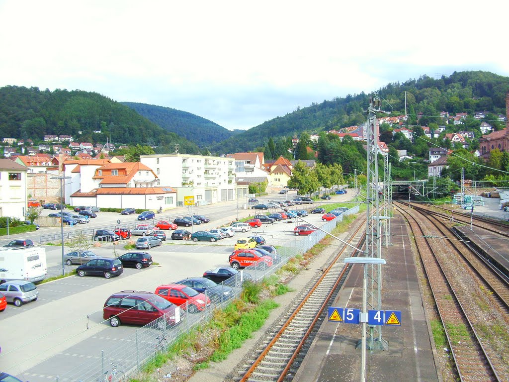 Eberbach bahnhof by sevenlerden