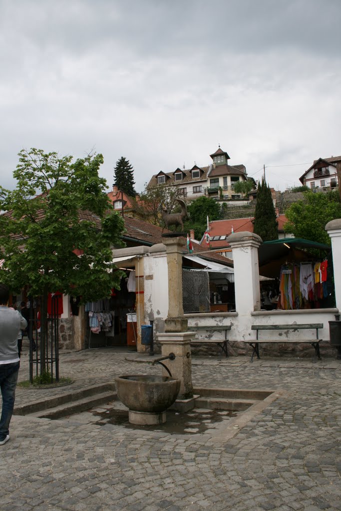 Szentendre by İ.Yaşartekin-No views!