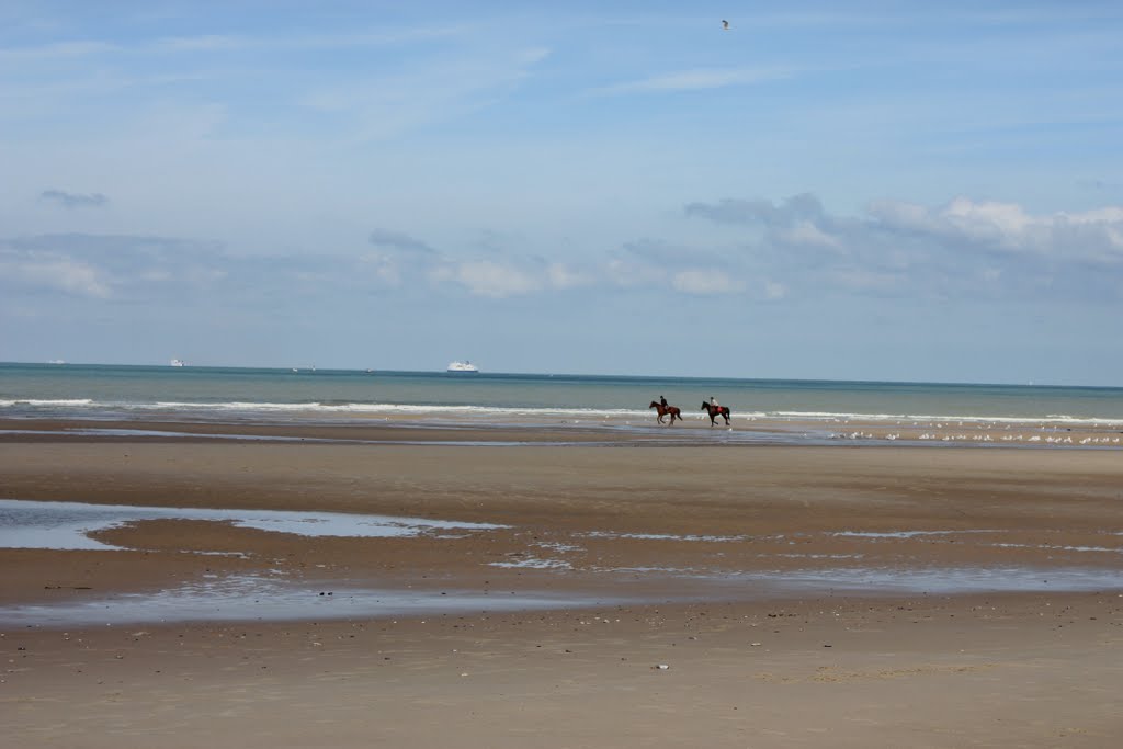 Plage cap blancnez by Gontrand Bayard