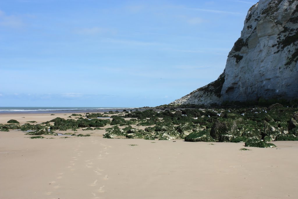 Plage cap blancnez by Gontrand Bayard