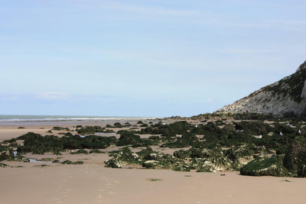 Plage cap blancnez by Gontrand Bayard