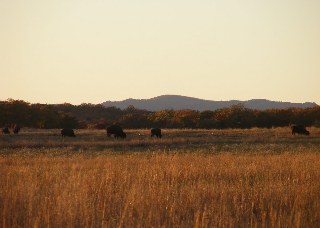 Wildlife Refuge by RichBC