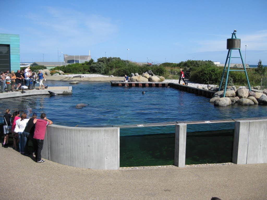 Nordsøen Oceanarium by obelix01