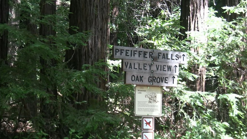 USA, CA, Big Sur, Julia Pfeiffer State Park, 2008/04 by BDDZGD