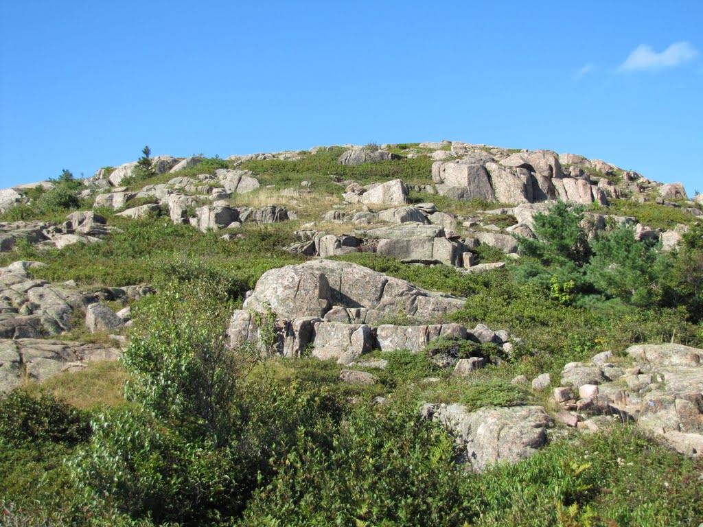 Bald Peak Trail Rocks by Chris Sanfino