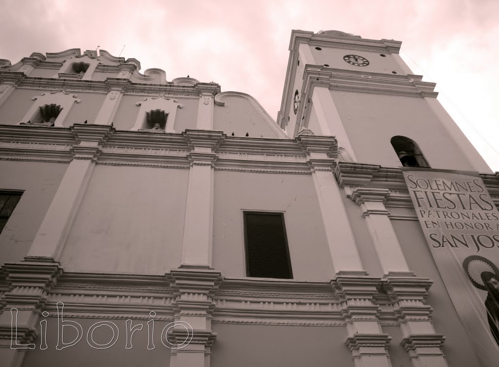 Catedral de San Jose by liborio_car