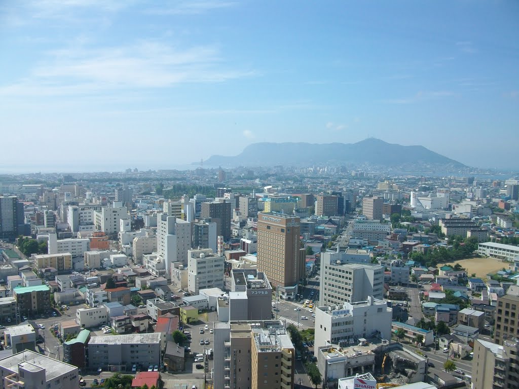 View of Hakodate by Teras Yas