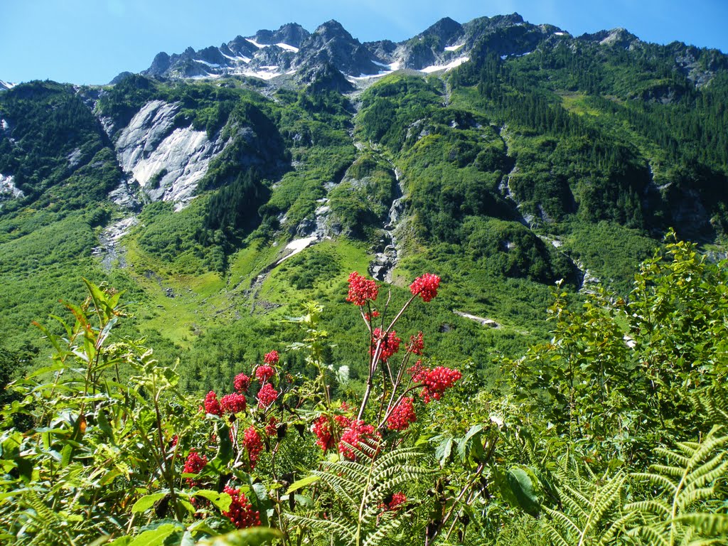 Mt. Sefrit, Hannegan Pass Trail by Joel Hoines