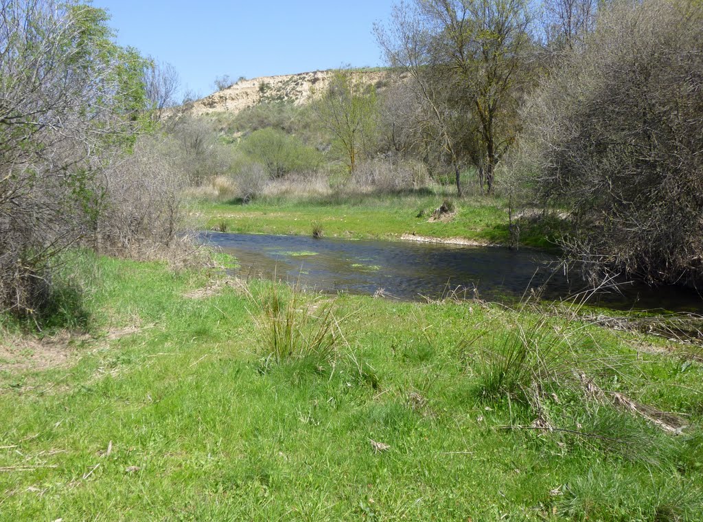 Río Torote, termino de Daganzo de Arriba by Juan Manuel