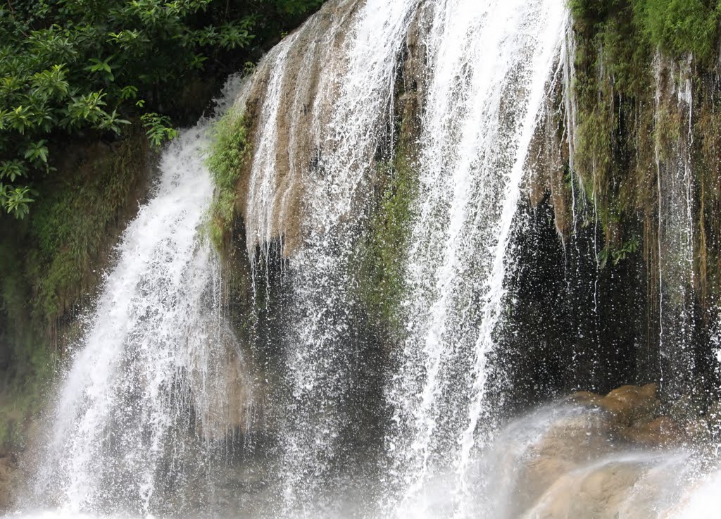 Water waterfall by Thai pix Wildlife ph…