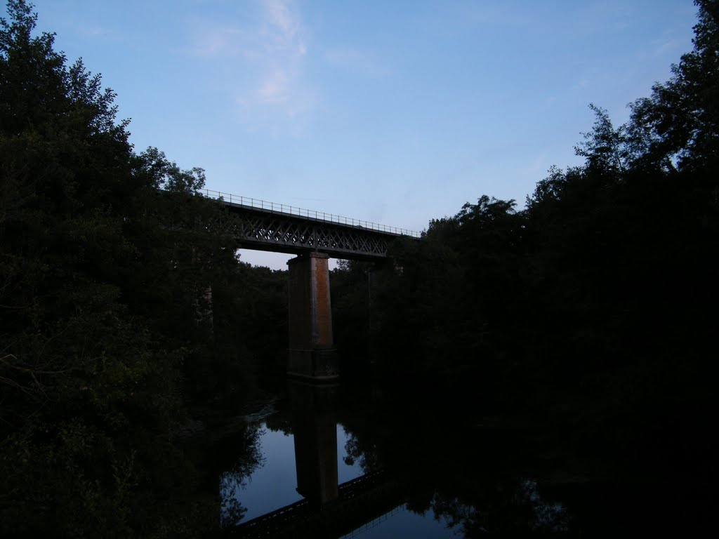 Railway over River by Andrew N Parker