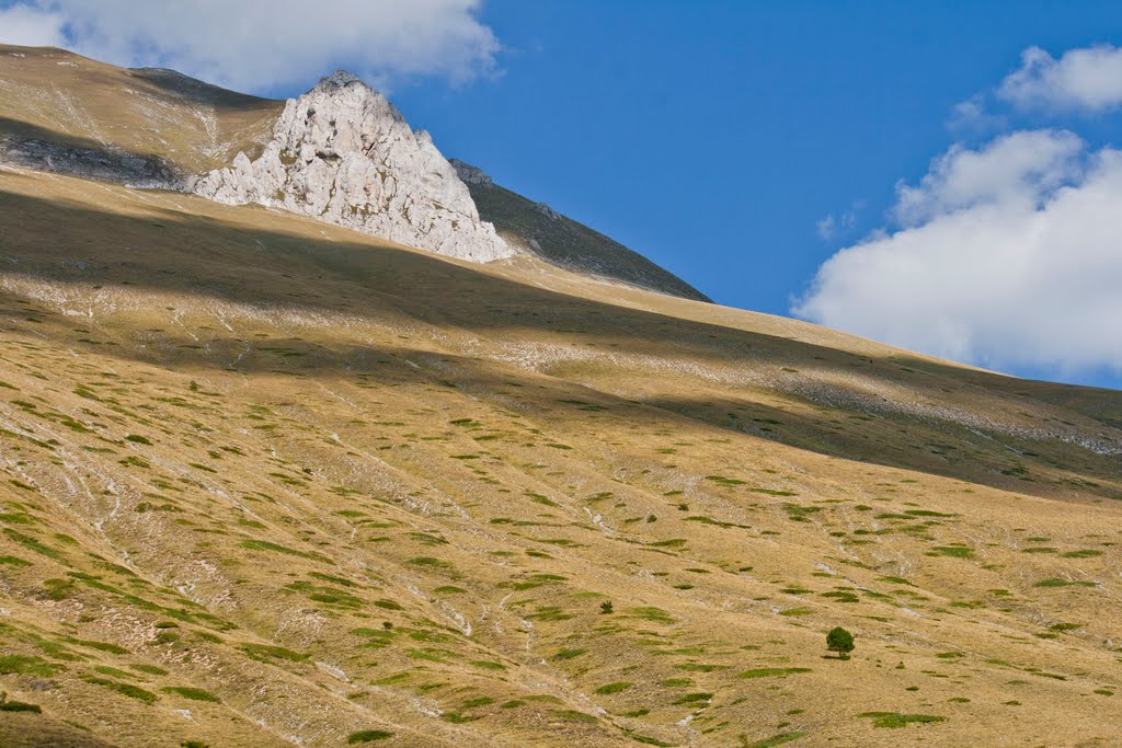 IL MONTE VETTORE E IL SUO ALBERO (quello in basso a destra) - THE MOUNT VECTOR AND ITS TREE by Dancos