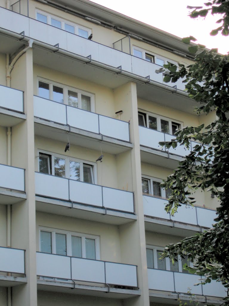 Balcones by Luis Rodríguez Baena