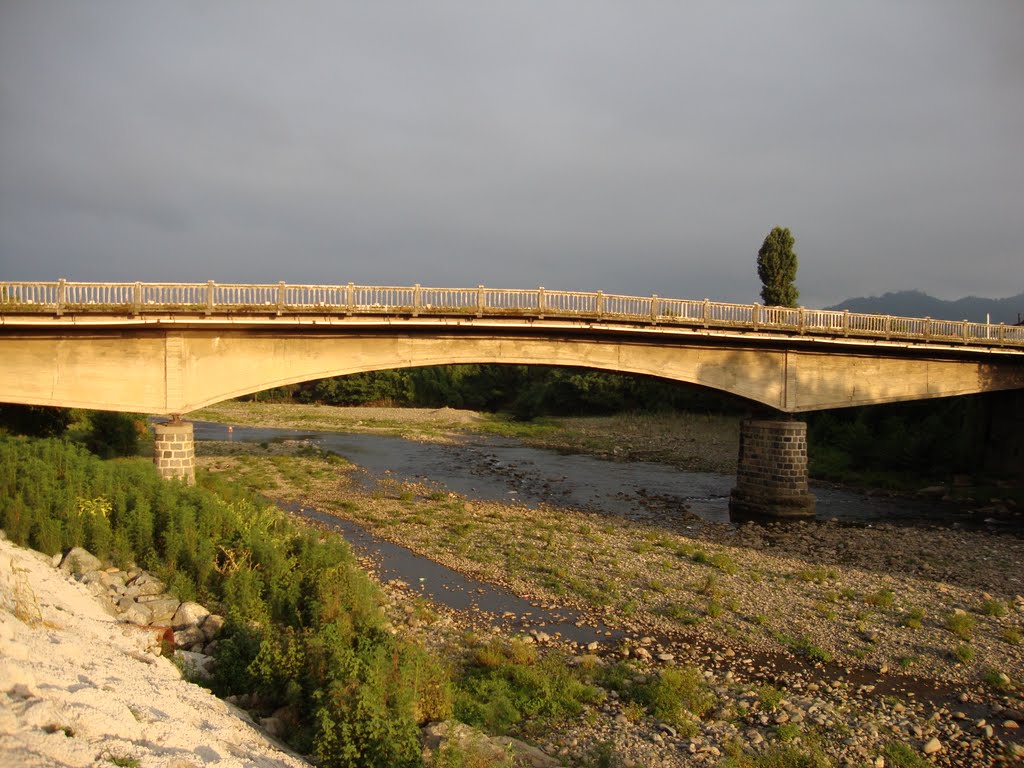 Bridge by zaza saladze