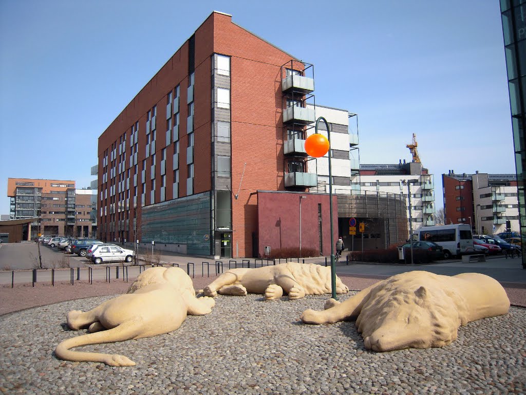 Tired lions by Petteri Kantokari