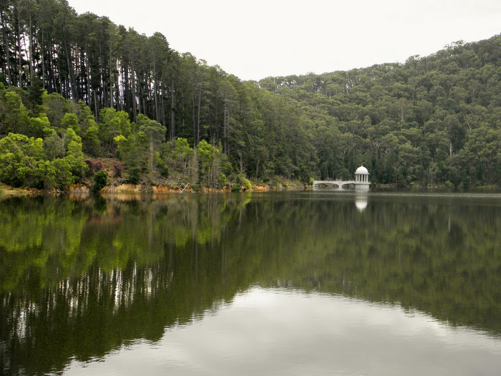 Maroondah Reservoir Park_03Sep2010 by lachlanngo