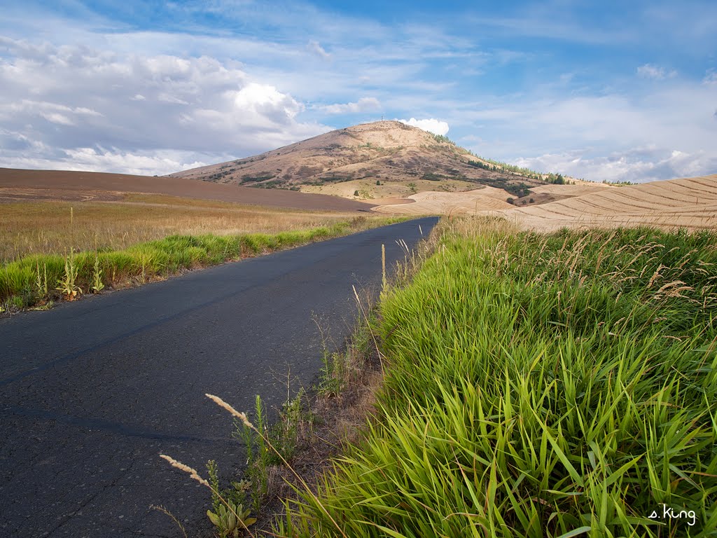 Steptoe Butte by S. King