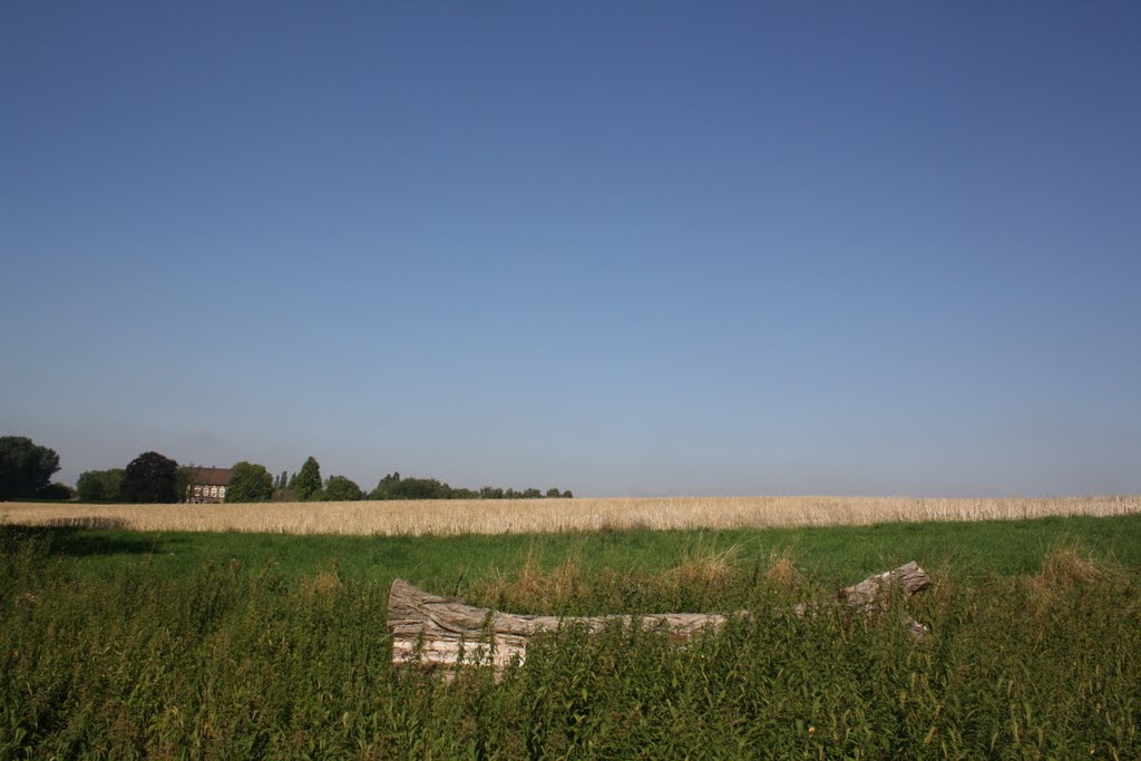 Essen-Haarzopf, Riemelsbeck Nähe Bauernhof Kocks by Ralf Siegler