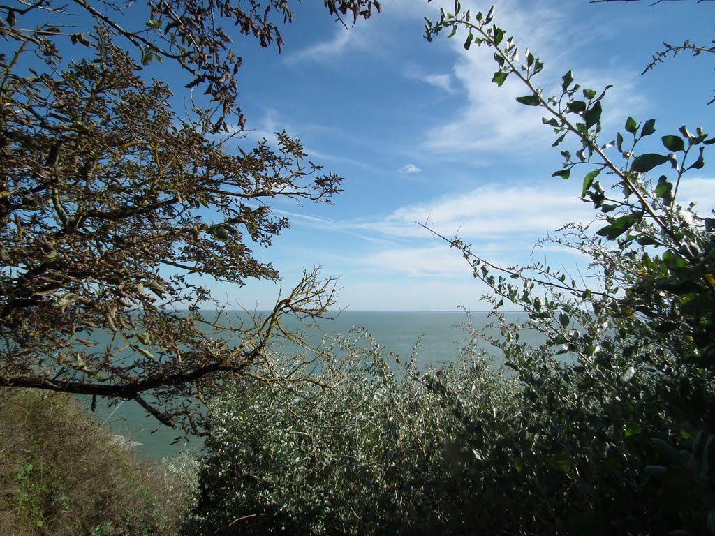 Un balcon sur l'estuaire... by FrenchCobber