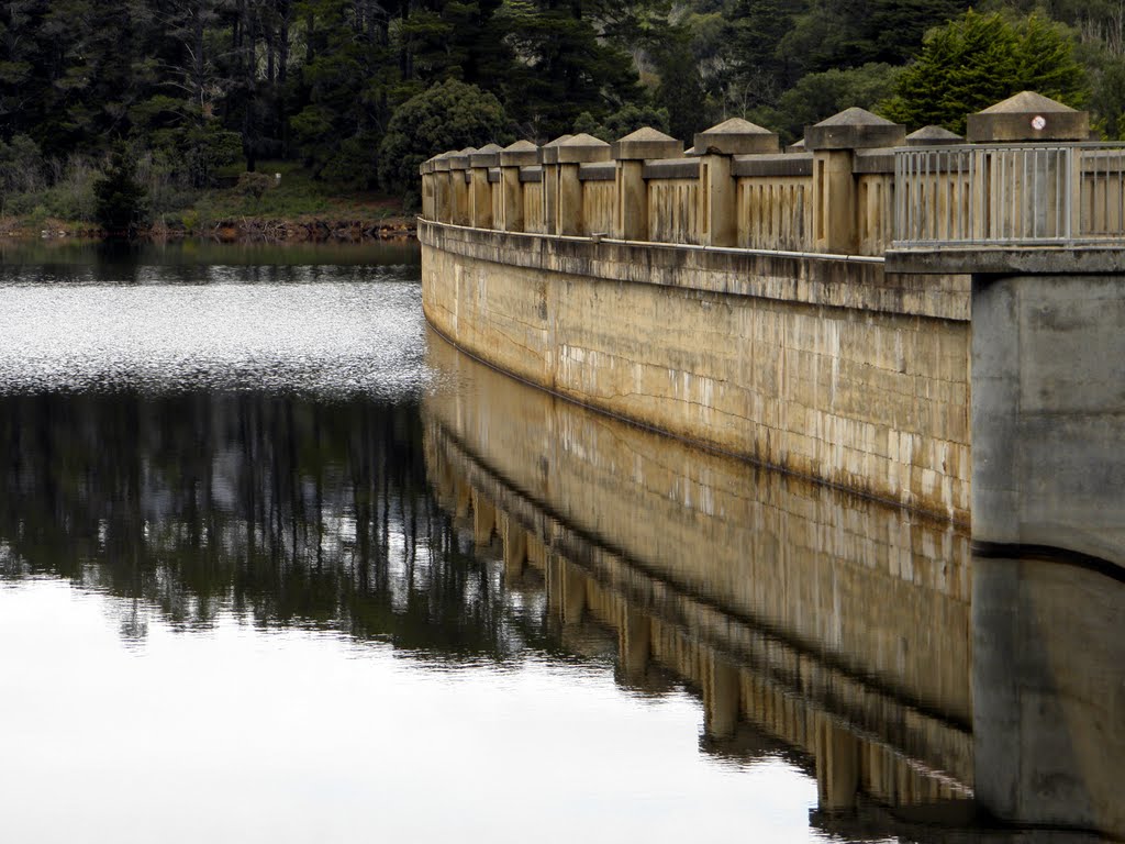 Maroondah Reservoir Park _Spring 2010, 100% Full by lachlanngo