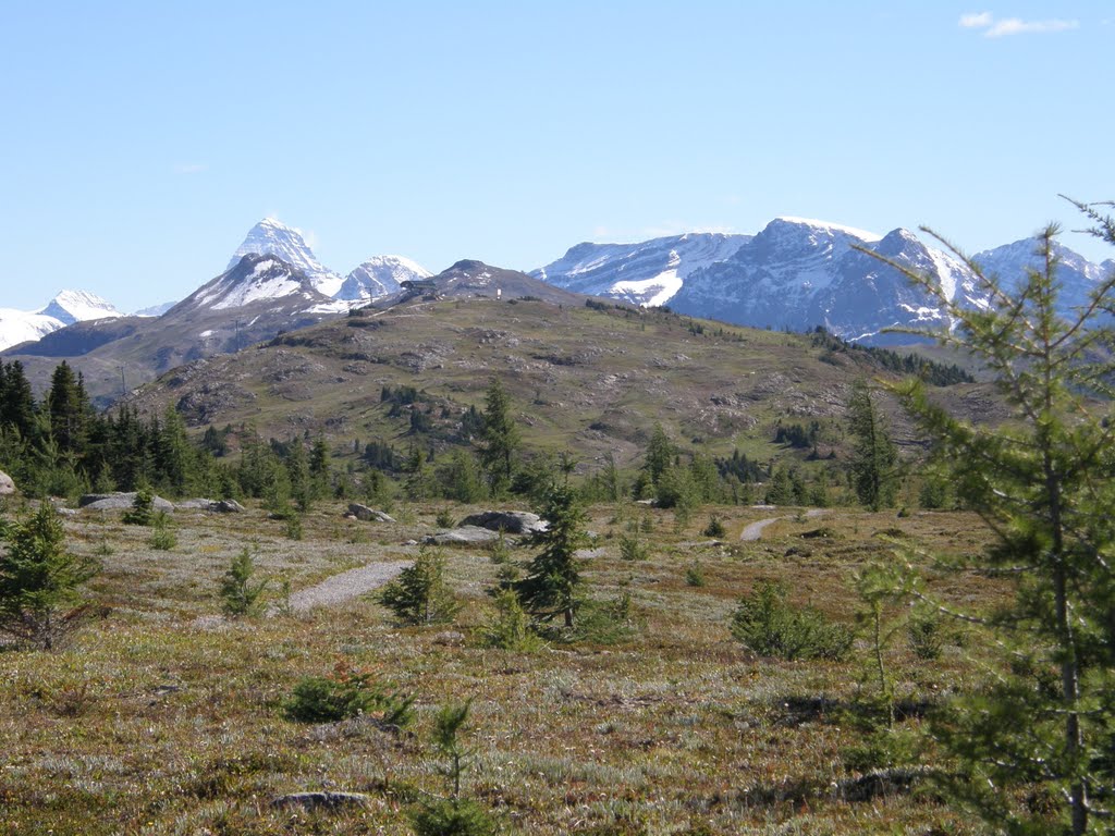 Mount Assiniboine (3618 m) monolit in the distance by trekker