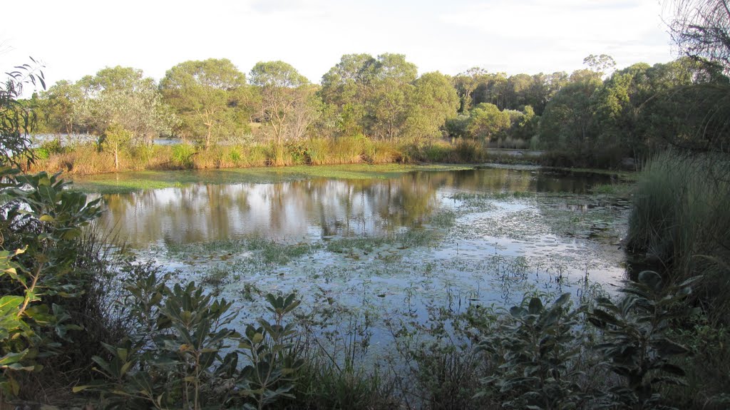 Melaleuca Lakes and Parklands, North Lakes by Snape-Jenkinson