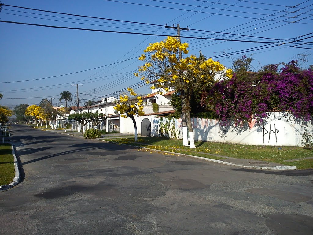 Curitiba - Bairro Capão da Imbuia by lvsboston